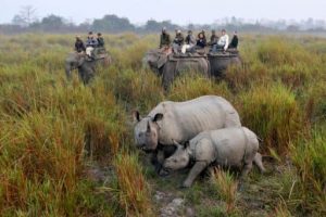 Mangalore wildlife sanctuary